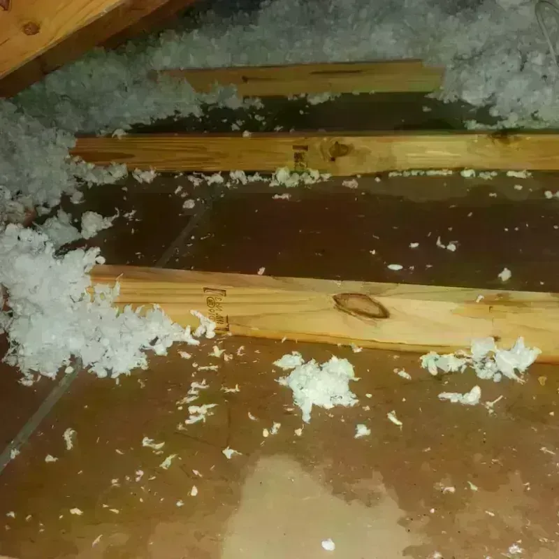 Attic Water Damage in Springfield, IL