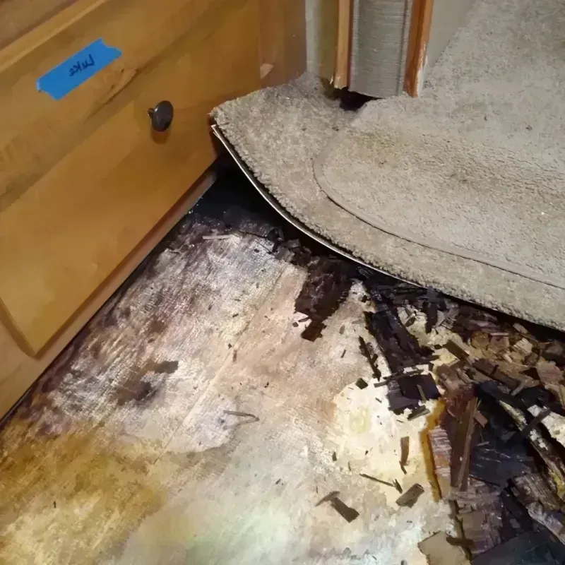 Best Wood Floor Water Damage Service in Springfield, IL